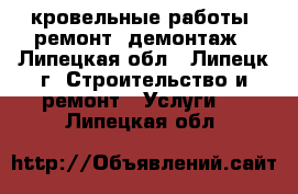 кровельные работы, ремонт, демонтаж - Липецкая обл., Липецк г. Строительство и ремонт » Услуги   . Липецкая обл.